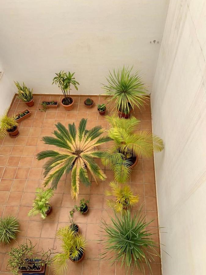 Apartamento En El Centro, Tranquilo Y Luminoso Малага Екстер'єр фото